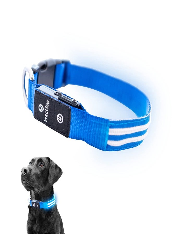Tractive LED Light Up Dog Collar USB Rechargeable Waterproof (Blue) - Image 1